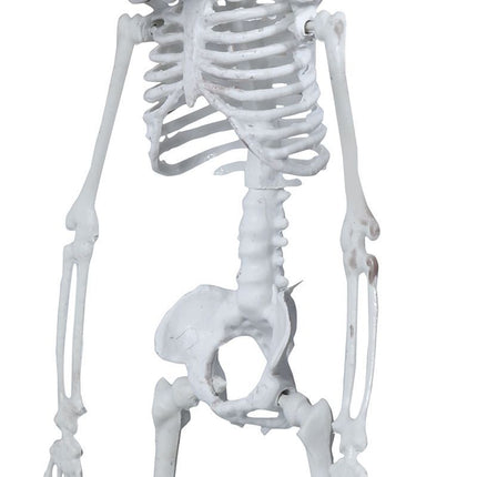 Halloween Hängedekoration Skelett 40cm