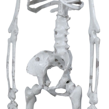 Halloween Hängedekoration Teufel Skelett 40cm