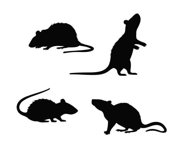 Halloween Tischdekoration Ratten