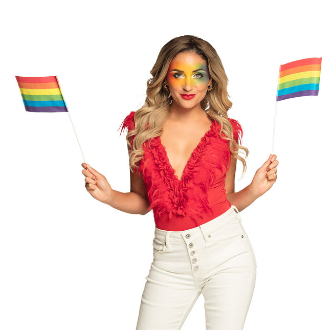 6 Papier-Winkefahnen Regenbogen 20x14cm/40cm Stock