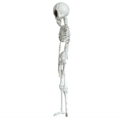 Halloween Hangdecoratie Skelet 42cm van Fiestas Guirca koop je bij Partywinkel