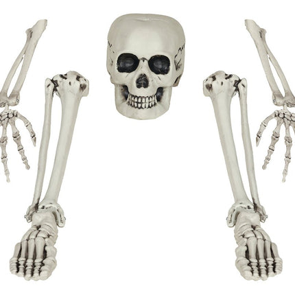 Halloween Skelet Botten 5 delig van Fiestas Guirca koop je bij Partywinkel