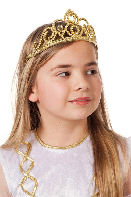 Gouden Tiara Basic van Wilbers & Wilbers koop je bij Partywinkel