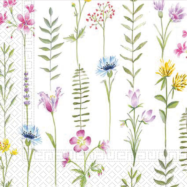 3 Lagen Papierservietten 33X33Cm/Alltägliche Designs 3 Lagen Papierservietten 33X33Cm Botanical 20St