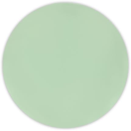 Wiederverwendbare Solid Colour Produkte Wiederverwendbare Teller 25Cm Mint Pastell 2St