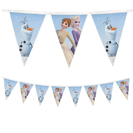 Frozen Ii Wind Spirit Wiederverwendbare Fahne Banner 1St