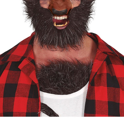 Brusthaar Werwolf