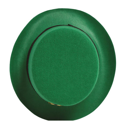 Hut St. Patrick's Day