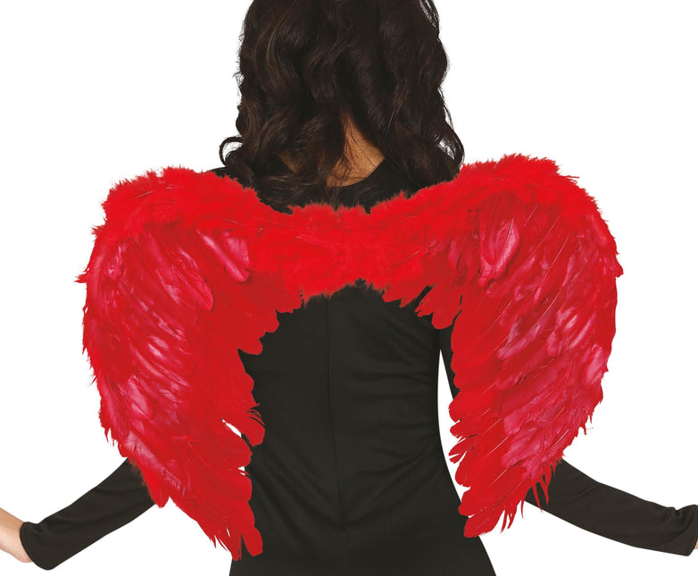 Red Wings Federn 60x45cm