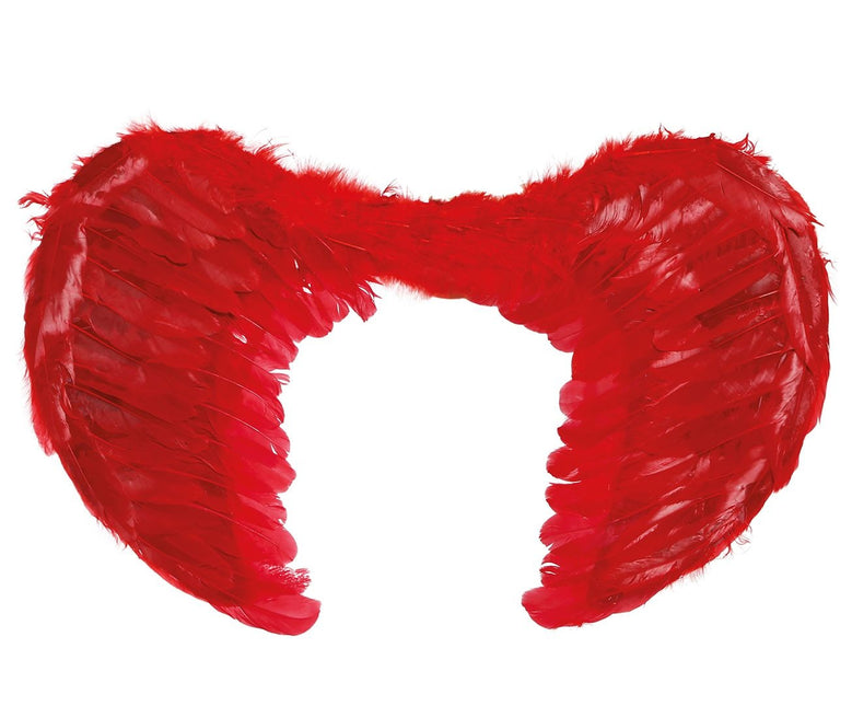Red Wings Federn 60x45cm
