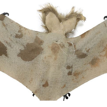 Halloween Fledermaus 60cm