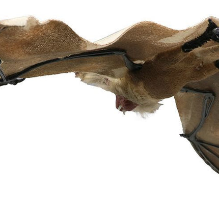 Halloween Fledermaus 60cm