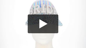 Sonnenblende 'Bride'