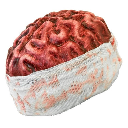 KOPFHAUBE FÜR DAS GEHIRN