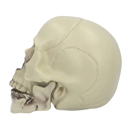 Halloween Schedel Whisperbone 20cm