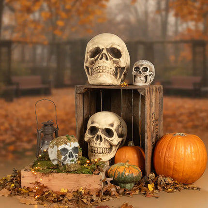 Halloween Schedel Whisperbone 20cm