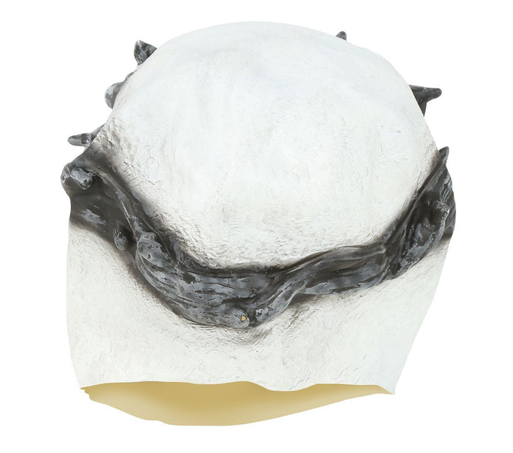 Halloween Maske Skelett