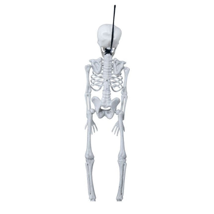 Halloween Skelett 40cm