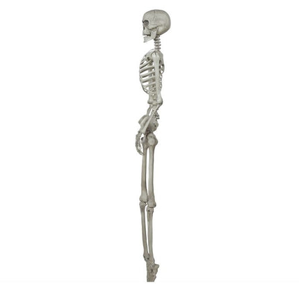 Halloween Skelett 1,6m