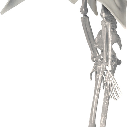 Halloween Puppe Skelett Vampir 40cm