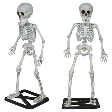 Halloween Skelett 55cm
