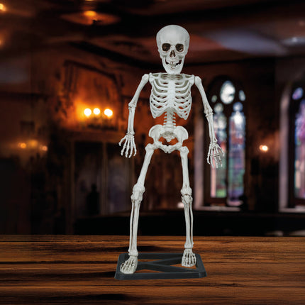 Halloween Skelett 55cm