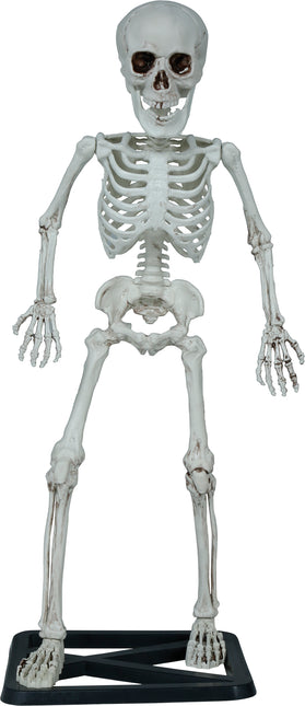 Halloween Skelett 55cm