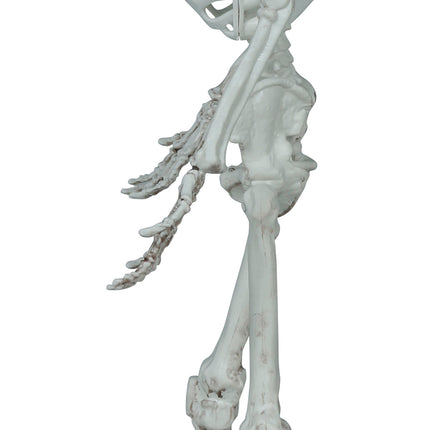 Halloween Skelett 55cm