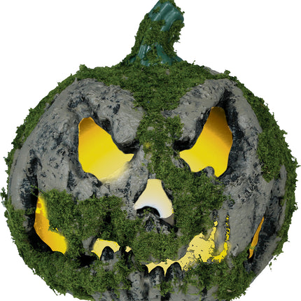 Halloween Kürbis Moos mit Licht 20cm