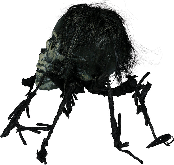 Halloween Fake Spinnenschädel 38cm
