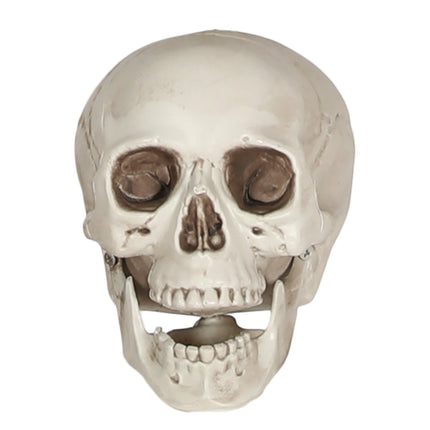 Weißer Totenkopf 20cm