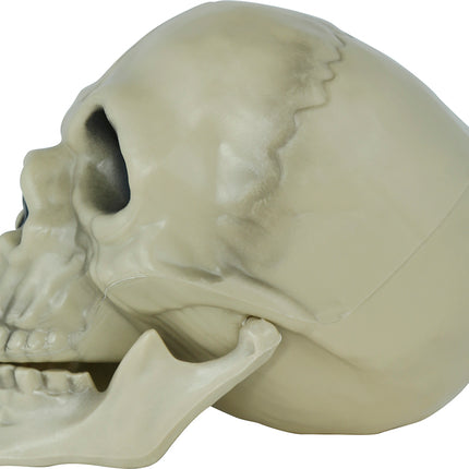 Halloween Totenkopf 13cm