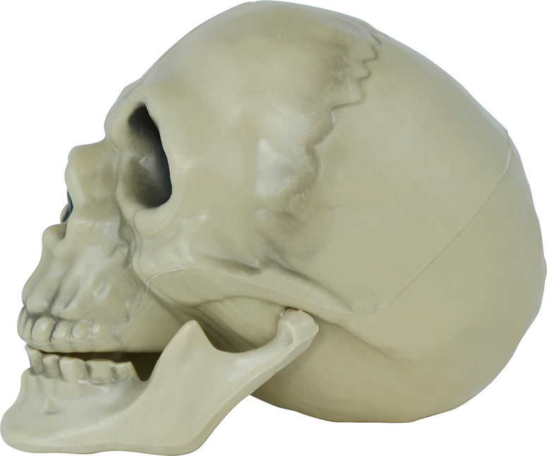 Halloween Totenkopf 13cm