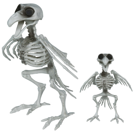 Krähe, Skelett, grau, 20 cm