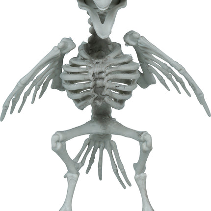 Krähe, Skelett, grau, 20 cm