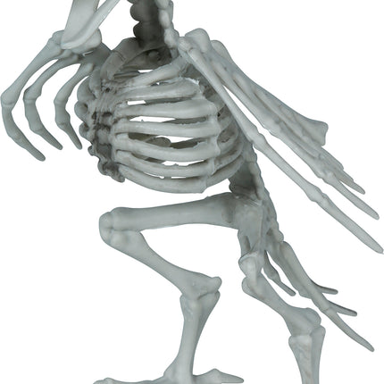 Krähe, Skelett, grau, 20 cm