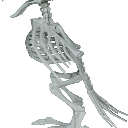 Krähe, Skelett, grau, 20 cm