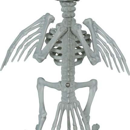 Krähe, Skelett, grau, 20 cm