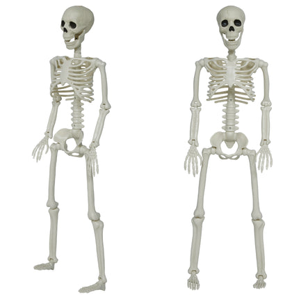 Bewegliches Halloween-Skelett