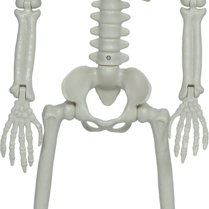 Bewegliches Halloween-Skelett