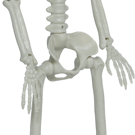 Bewegliches Halloween-Skelett