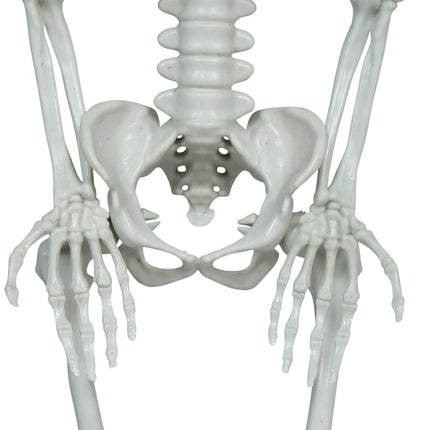Halloween Skelet Hangend Groot Hoofd 40cm