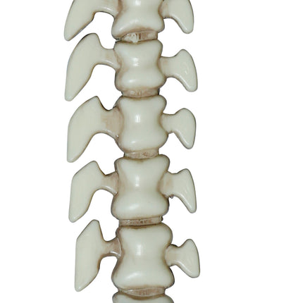 Halloween-Spielzeugschwert „Knochen“ 65 cm