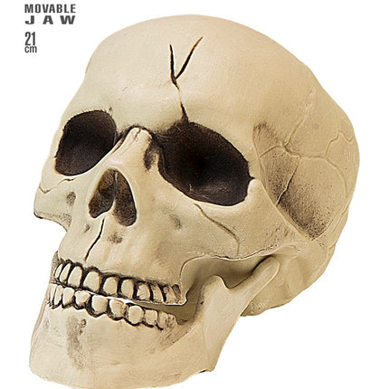 PVC SCHÄDEL MIT BEWEGLICHEM KIEFER 21 CM