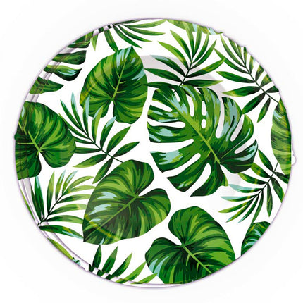 Palmblatt Teller 23cm 6 Stück