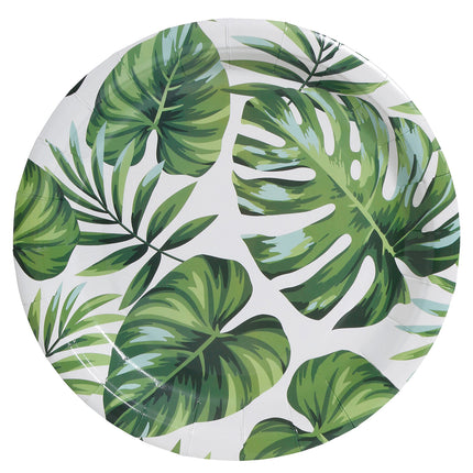 Palmblatt Teller 23cm 6 Stück