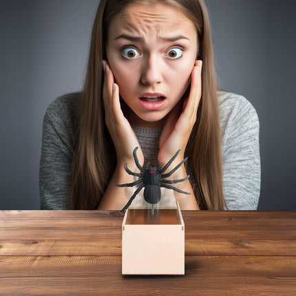 Halloween Falsche Spinne in Box