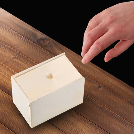 Halloween Falsche Spinne in Box