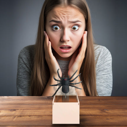 Halloween Falsche Spinne in Box