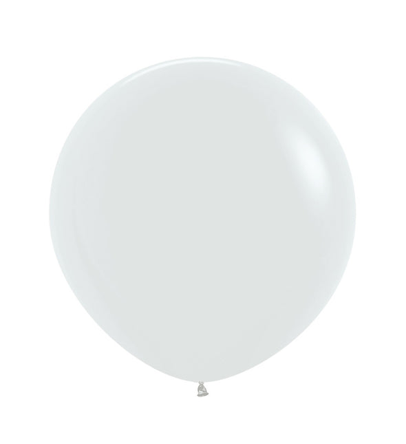 R24 - Weiß - 005 - 3 Stück 1B